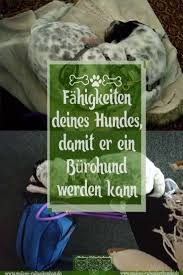 burohund benotigte fahigkeiten vom hund malous rabaukenbande ehrlicher blog uber hunde katzen im alltag beruf hu hunde hund im buro hund und katze