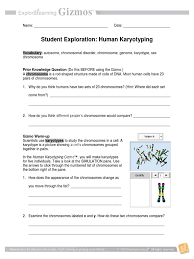 Explore learning gizmo answer key weather maps. Human Kar Yo Typing Se Karyotype Chromosome