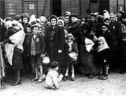Image result for holocaust photos