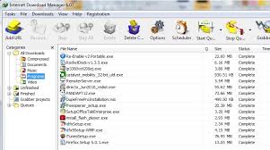 Internet download manager 6.25 build 24. Internet Download Manager High Speed Download Accelerator