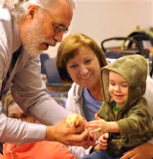 Wild about books at the Fall River library