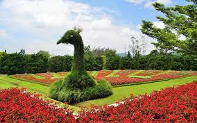 Gambar taman bunga 3 dimensi terbaru skaimage. 7 Objek Wisata Taman Bunga Nusantara Yang Wajib Anda Kunjungi