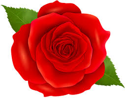 Red Rose Transparent Clip Art Red Roses Clip Art Beautiful Flowers Images