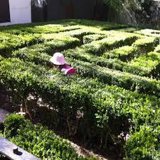 Neild Ave Maze Neild Ave Paddington This Is A Tiny 3 Foot High Maze On A Small Block In Inner Sydney It S Tranquil And Ador Outdoor Decor Day Trips Outdoor