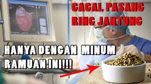 Check spelling or type a new query. Cara Membuat Minuman Sehat Dari Biji Ketumbar Green Poultry