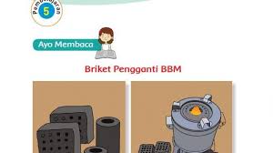 We did not find results for: Kunci Jawaban Tema 6 Kelas 3 Halaman 138 139 140 141 142 Subtema 3 Pembelajaran 5 Energi Alternatif Tribunnews Com Mobile