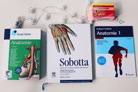 Das 1 Semester Im Medizinstudium Medizinstudium Medizin Studium