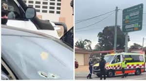 7NEWS - News update