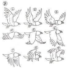 Animated Birds Of The Same Feather Flock Together Doubledrefs Making A Short Animation Gif For Today S Pokedex Meme Today So I M Stockpiling Resources Fl Animation Reference Animated Drawings Bird Drawings