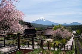 A Day Trip To Mount Fuji From Tokyo