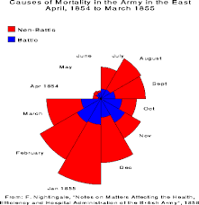 Rose Diagram Florence Nightingale The Beauty Of Diagrams