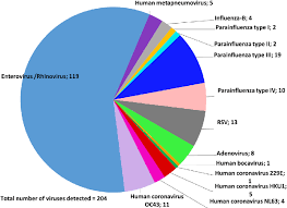 pie chart displaying the frequency of viruses detected on np