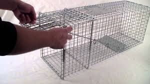 2020 popular 1 trends in home & garden, men's clothing, women's clothing, home improvement with trap for cats and and 1. Live Trap Rental Lenawee Humane Society