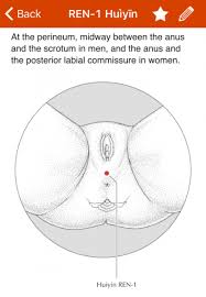 Acupressure For Good Sex Cicuto Acupuncture acupressure for good sex cicuto