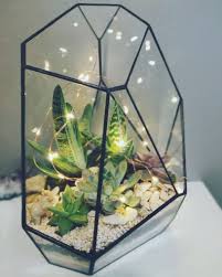 Glass Terrarium Glass Terrarium Hanging Glass Terrarium Terrarium Decor