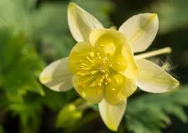 We did not find results for: Best Flowers To Plant In North Texas Frisco Lawn Pros