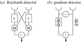 The main purpose of motion detection is to sense an intruder and send an alert to your control panel, which alerts your monitoring center. Correlation Versus Gradient Type Motion Detectors The Pros And Cons Philosophical Transactions Of The Royal Society B Biological Sciences