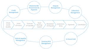 Treasury Process Flow Chart In Sap Best Picture Of Chart