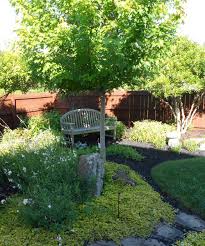 We scored 112 landscapers in raleigh, nc and picked the top 21. Designscapes Of Nc Ltd Landscaping Raleigh Nc