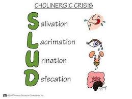 Image result for Cholinergic Toxicity