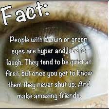Written by tobey jordan created: Fun Facts About Photography Quotes Life Instagram Quotes Dogtrainingobedienceschool Com