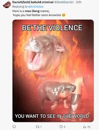 Funniest and Best Moo Deng Memes Do the Sassy Little Meatball ...