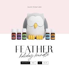Check spelling or type a new query. Black Friday Caseyleigh Essentials