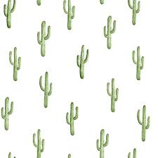 Green Cactus Wallpaper Green Aesthetic Green Wallpaper Green Cactus