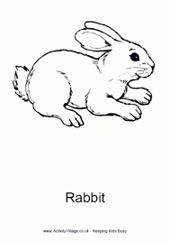 Select from 35987 printable coloring pages of cartoons, animals, nature, bible and many more. Rabbit Colouring Pages