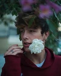 Tayler holder HD wallpapers