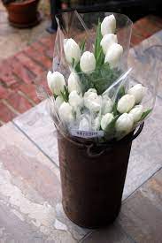 The store is clean about winn dixie has excellent meat if you join there rewards program you can get very good deals on there groceries. A Winter Rhapsody Of White Beautifulgardener