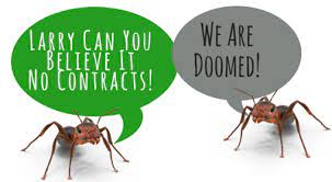What should your pest control agreements address? Pest Control Las Vegas Top Rated Exterminator 4 9 Star Rated