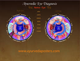 Eye Diagnosis Iridology Chart 8 5 X 11