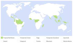 Tropical rainforest biomes are found in locations throughout the world in a band around the equator known as the tropics. Types Of Biomes Bioninja