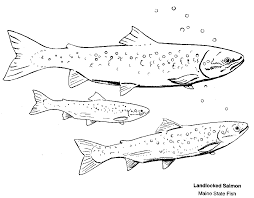 Fun Games Symbols Coloring Book Fish Coloring Page Fish Printables Coloring Books