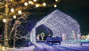 The Best Christmas Lights In And Around Philly Christmas Lights For Sale Best Christmas Lights Christmas Lights