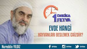 Evde Hangi Hayvanlari Beslemek Caizdir Fetva Meclisi