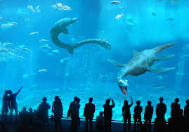 New Monterey Bay Aquarium Exhibit Monterey Bay Aquarium Loch Ness Monster Underwater World
