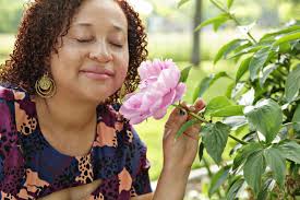 Amber Akins's Instagram, Twitter & Facebook