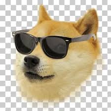 Doge Png Images Doge Clipart Free Download Large collections of hd transparent doge png images for free download. doge png images doge clipart free download