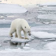 Pin On Climate Science