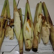 Maybe you would like to learn more about one of these? Loji Karawang Turubuk Diposting Oleh Unknown Di 09 48