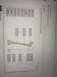 The shaft tends to be cylindrical in form. Solved Hi Eloy Alejandro Sign Out P Course Home Chegg Com