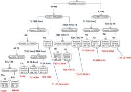 Stage 3 usually means the cancer is larger. The Iaslc Lung Cancer Staging Project Proposals For Revision Of The Tnm Stage Groupings In The Forthcoming Eighth Edition Of The Tnm Classification For Lung Cancer Sciencedirect