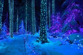 The Result Is Feeling As Though You Re Walking Through A Winter Wonderland Of Lights Colors And Festivity Winter Christmas Winter Wonderland Winter