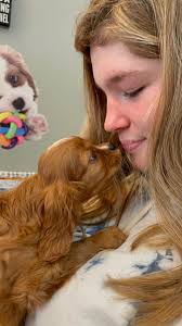 Moose is a big brother 🥰. He's being very gentle with his new baby .