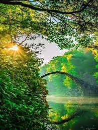 The nature is not nice trope as used in popular culture. Fb Img 15222355064291076 Very Nice Nature 720x958 Wallpaper Teahub Io