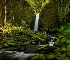 Also, it is said that a picture is worth 1000 words. 20 Beautiful Nature Whatsapp Dp For Download Cult Of Digital