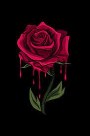 Bleeding Rose Graphic Design Graphic Design Art Bleeding Rose Roses Drawing Red Roses Wallpaper