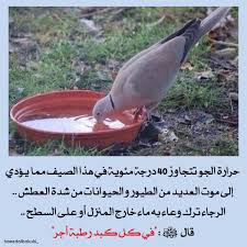 في كل كبد Garden Tools Arabic Quotes Animals